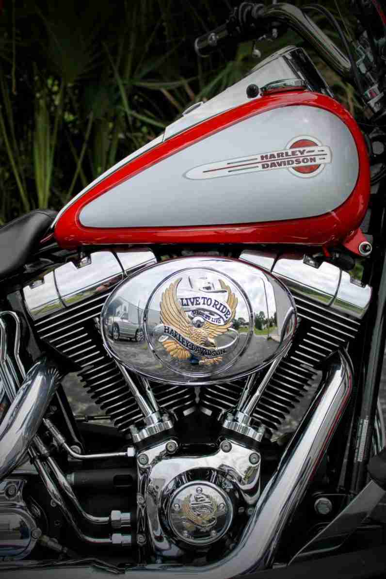 2002 Harley Heritage SofTail